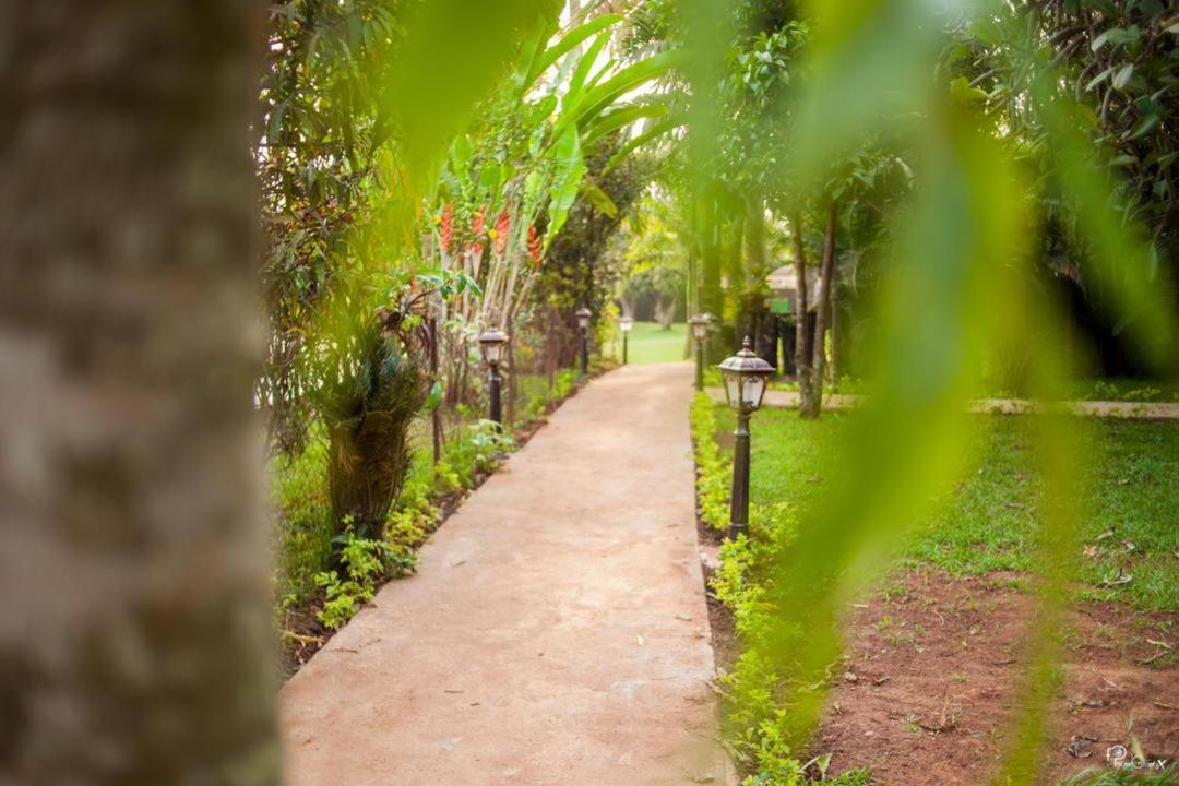 Village Noah Yaoundé Buitenkant foto